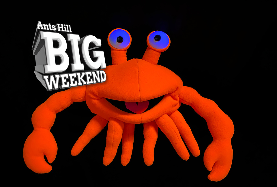 Ants Hill Big Weekend: Groovy UV Show