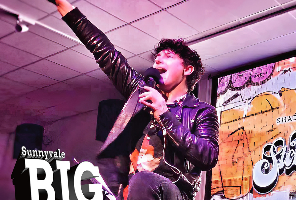 Sunnyvale Big Weekend: Stereophonics