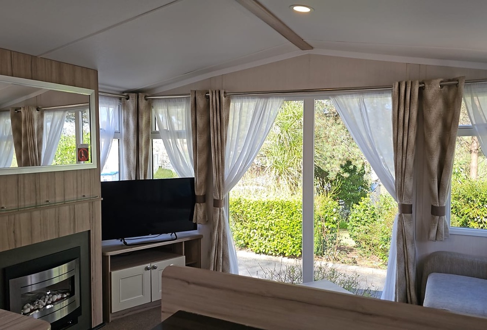 Sunny Glen Palm 2